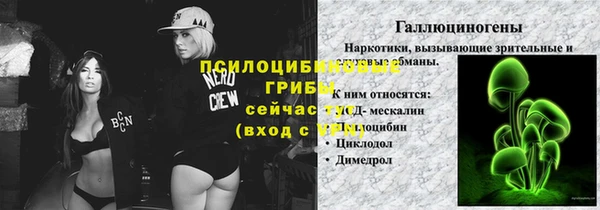 каннабис Новозыбков