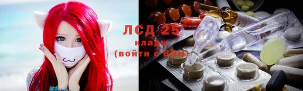 тгк Абаза
