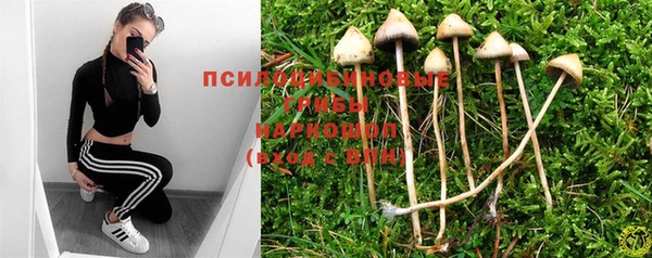 тгк Абаза