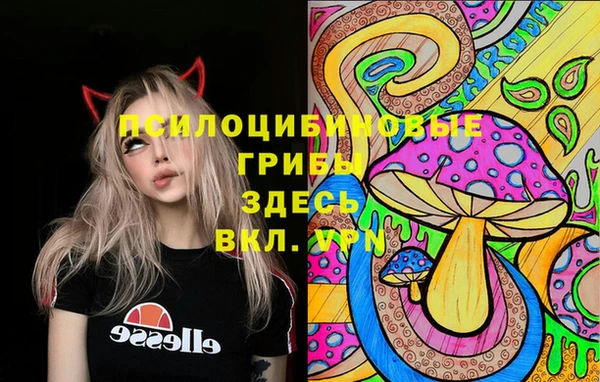 шишки Алексеевка
