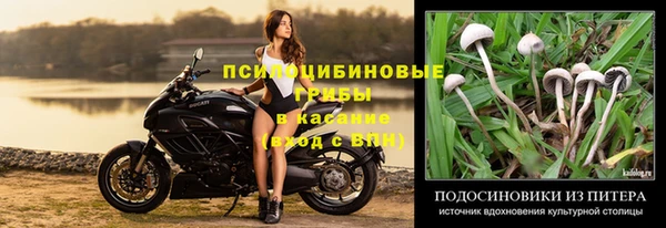 трава Абдулино