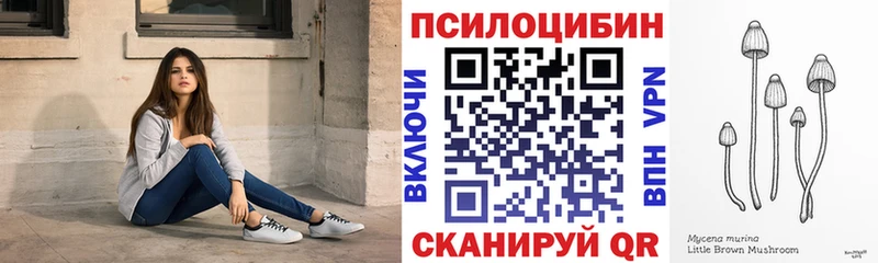Псилоцибиновые грибы GOLDEN TEACHER  Мосальск 